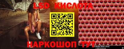 тгк Гай