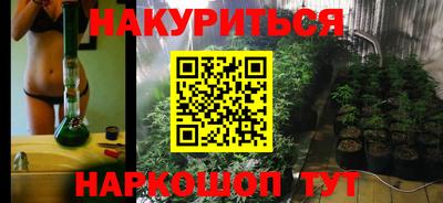 тгк Гай
