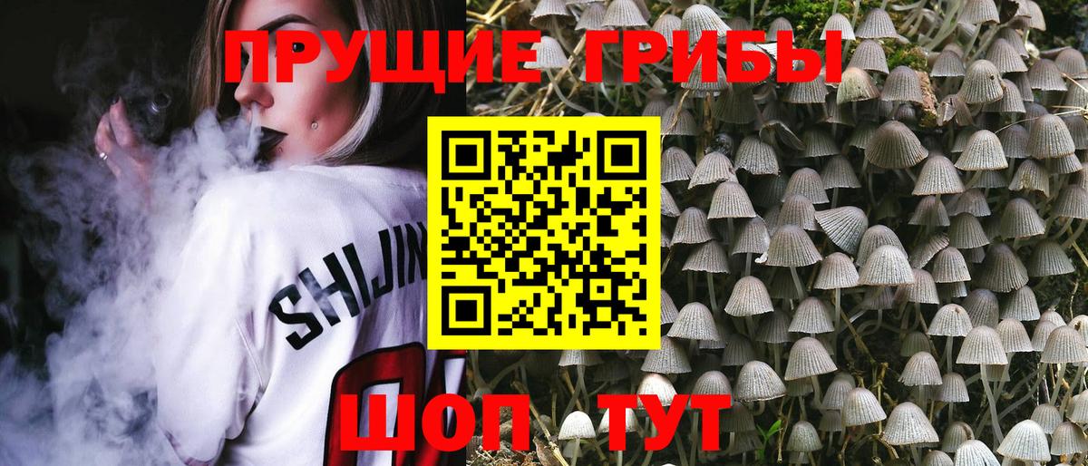 Псилоцибиновые грибы Cubensis Новоалтайск