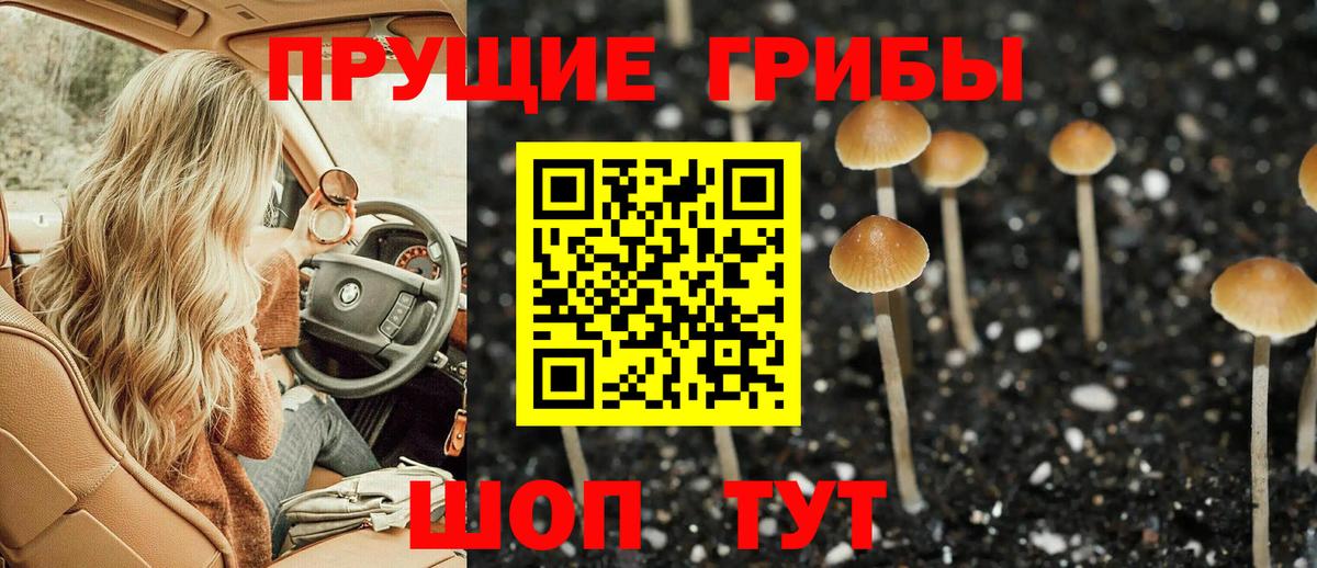 Псилоцибиновые грибы Magic Shrooms  Псилоцибиновые грибы Psilocybine cubensis  Новоалтайск  Вход с VPN 